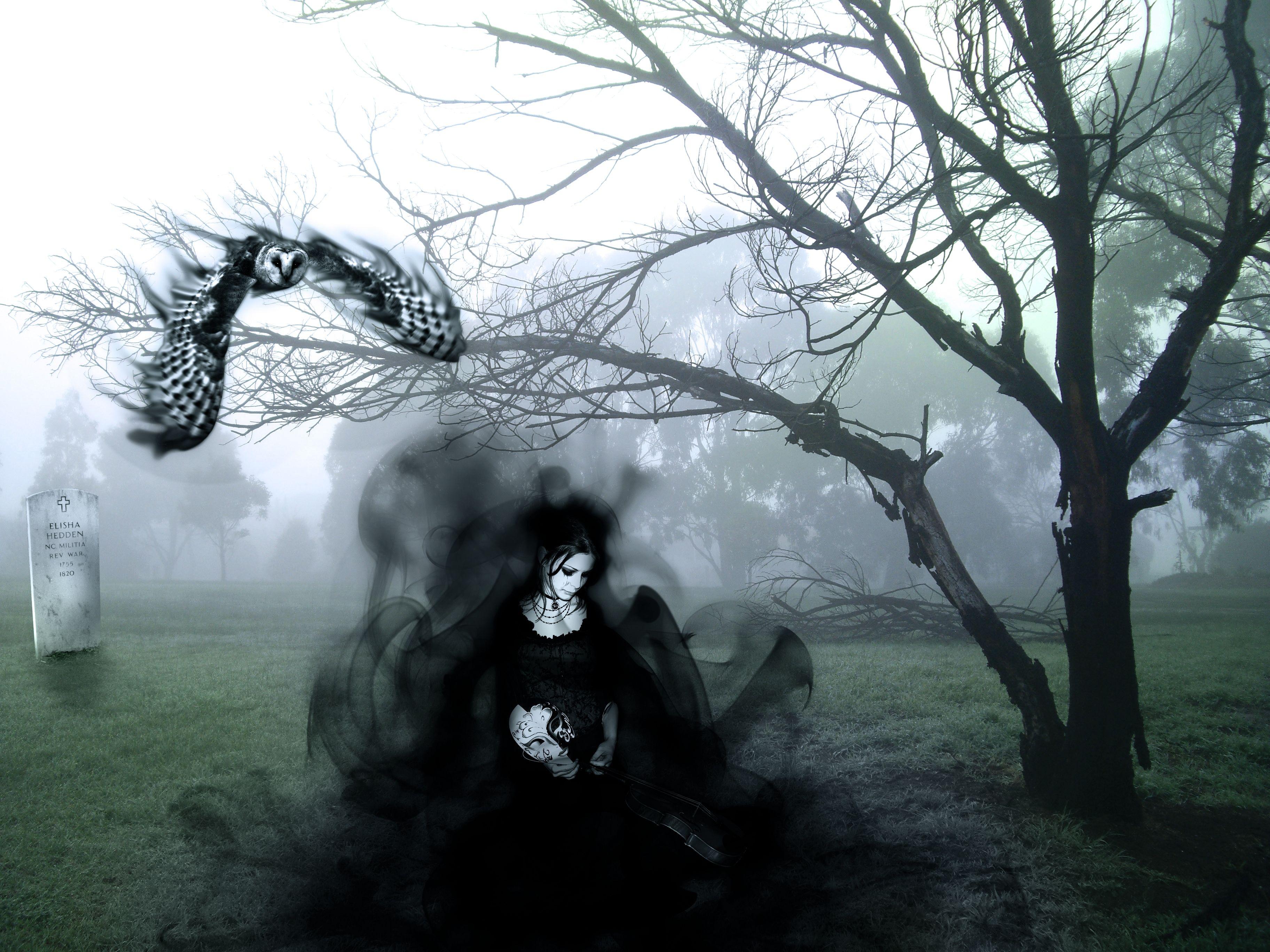 3648x2736 New Dark Fairy Live Wallpaper In High Quality, Imogen
