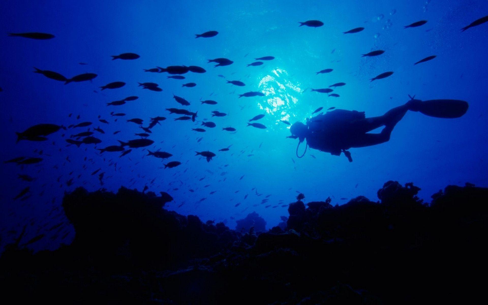 1920x1200 Scuba Diving Wallpaper