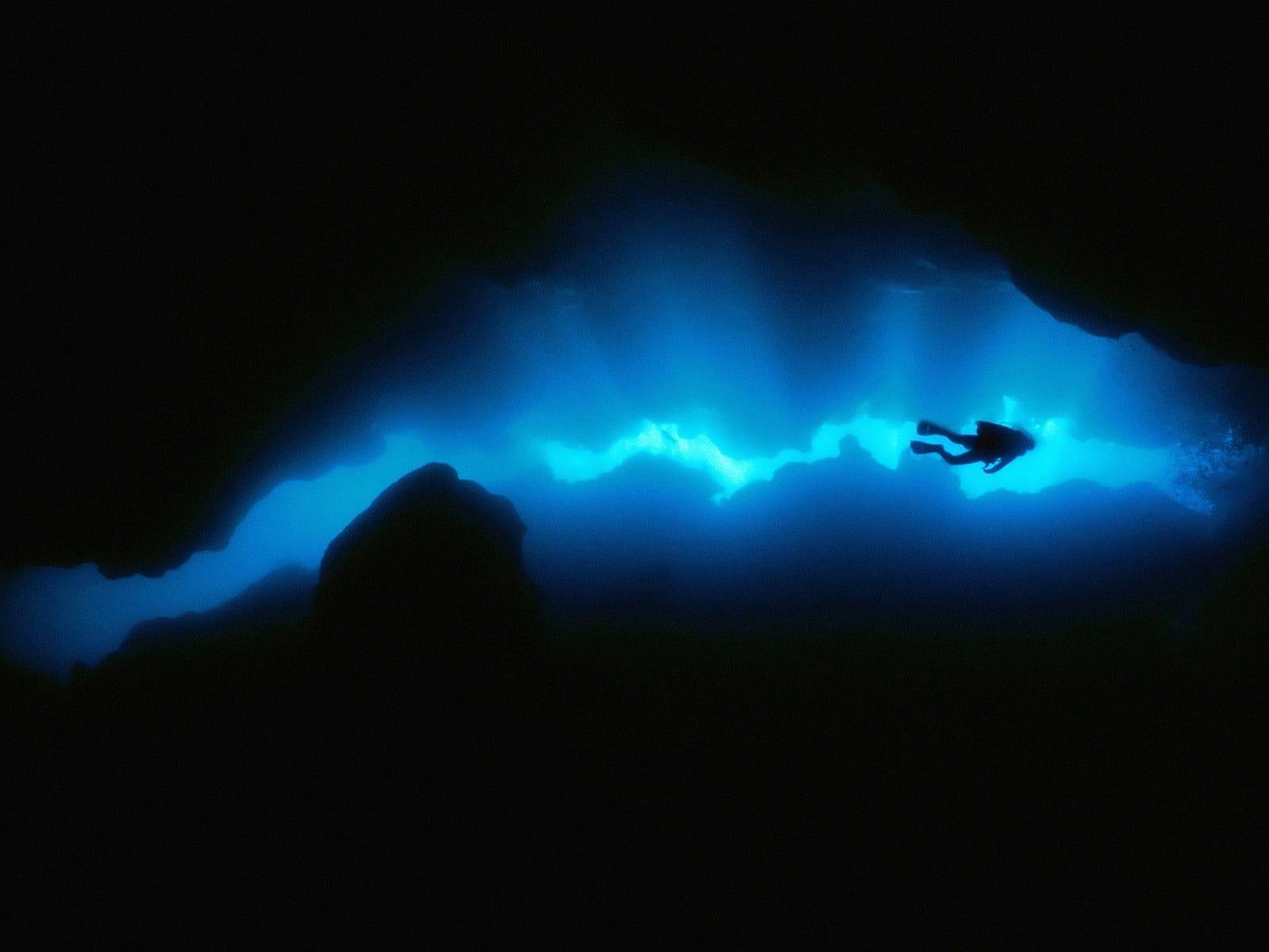 1600x1200 Person scuba diving digital wallpaper, scuba, underwater