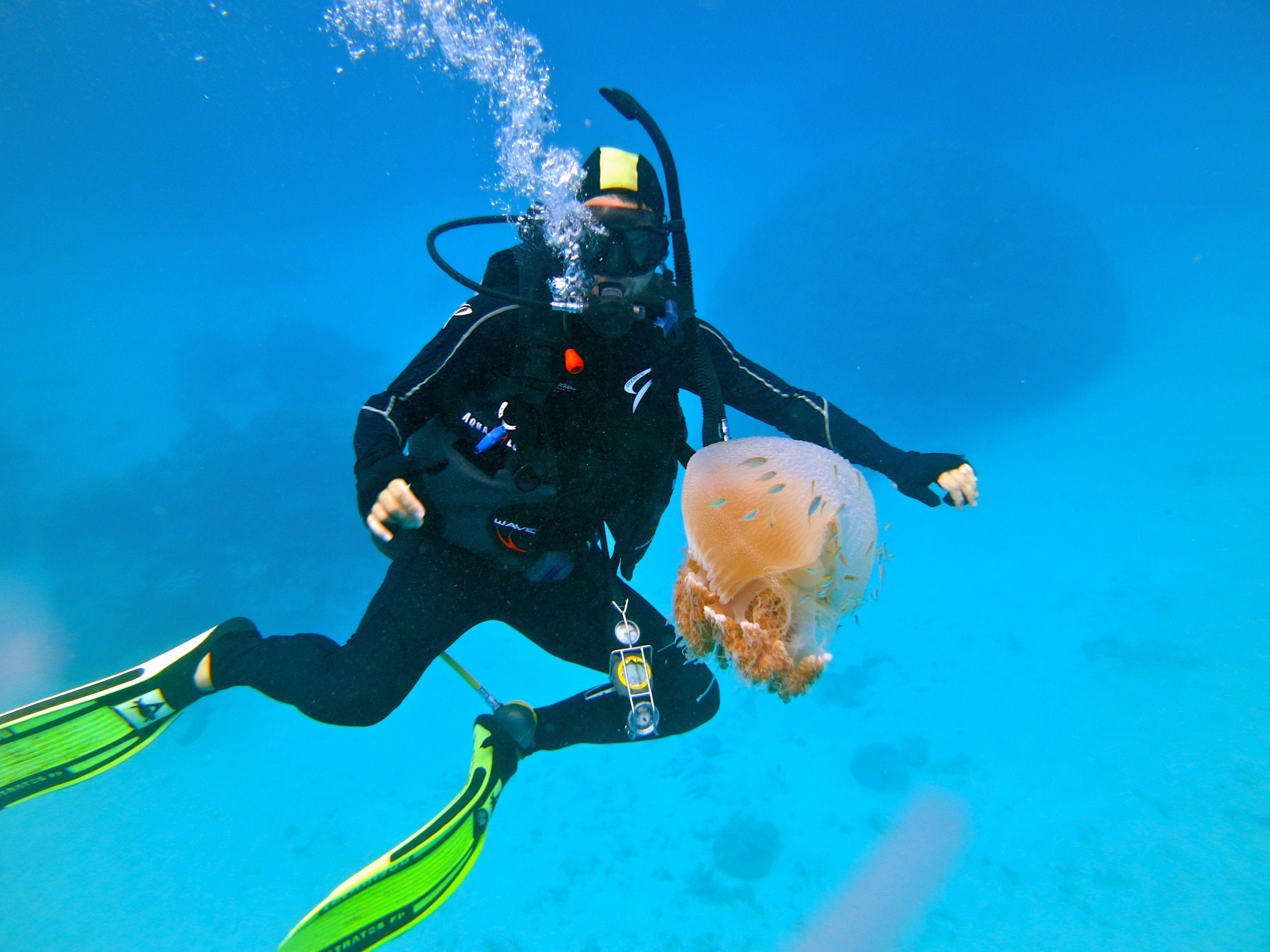 Go scuba diving. Скуба дайвинг. Дайвинг Scuba. Аквалангист в океане. Плавание с аквалангом.