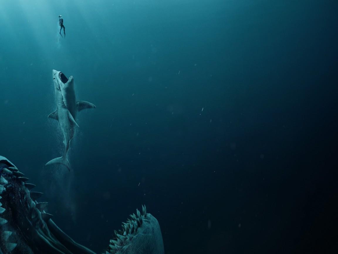 1152x864 scuba diving men well fish eating 4k wallpaper