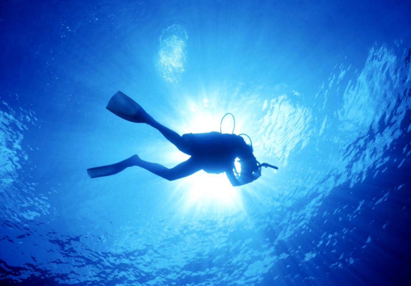 1440x1003 Ocean Diver Underwater Wallpaper HD Desktop