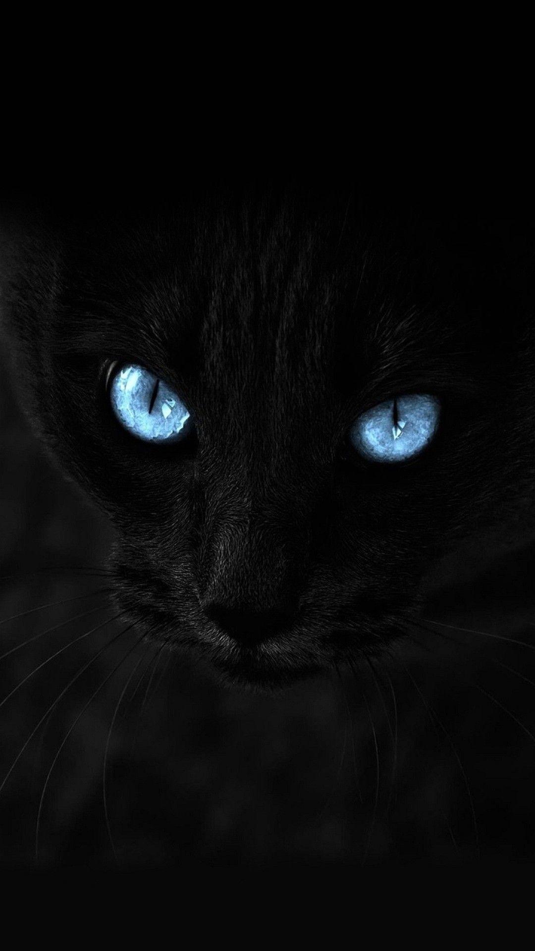 Cat Eye Wallpaper For Android