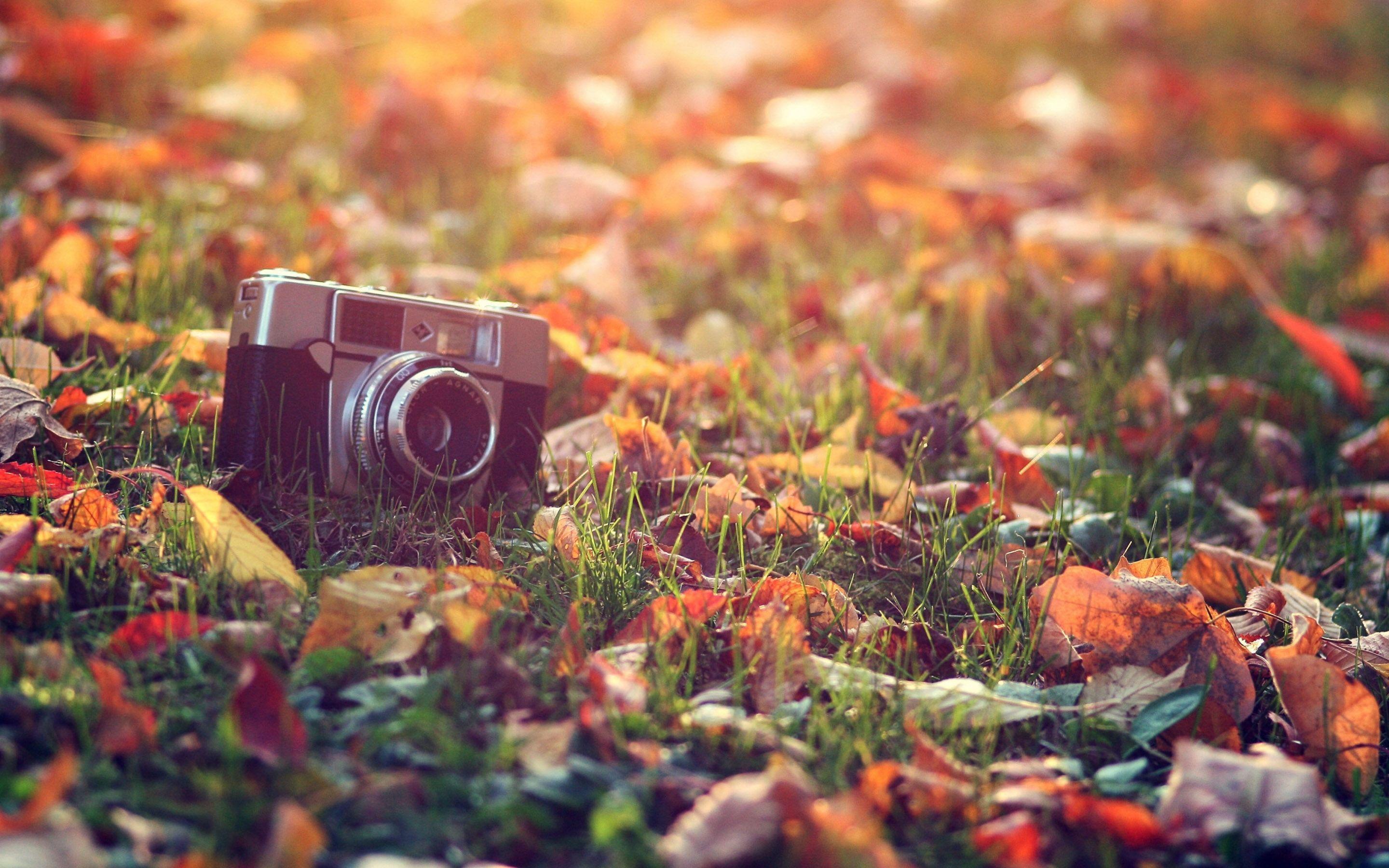 2880x1800 Vintage Background Photography