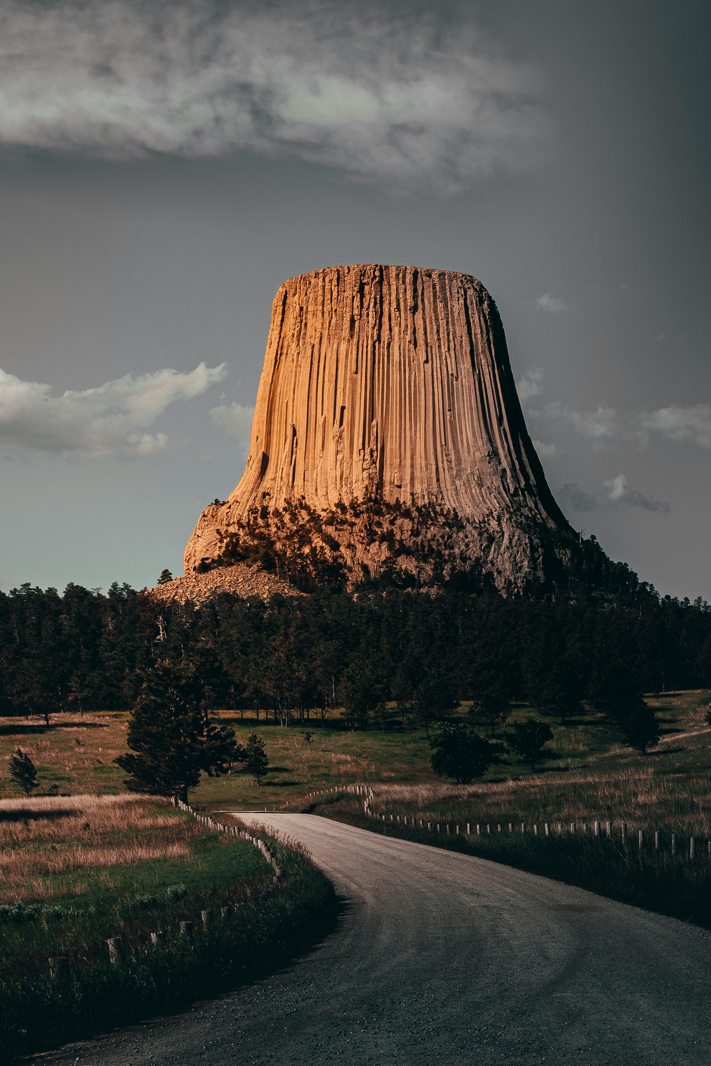 2401x3598 Green Trees Near Rock Formation · Free