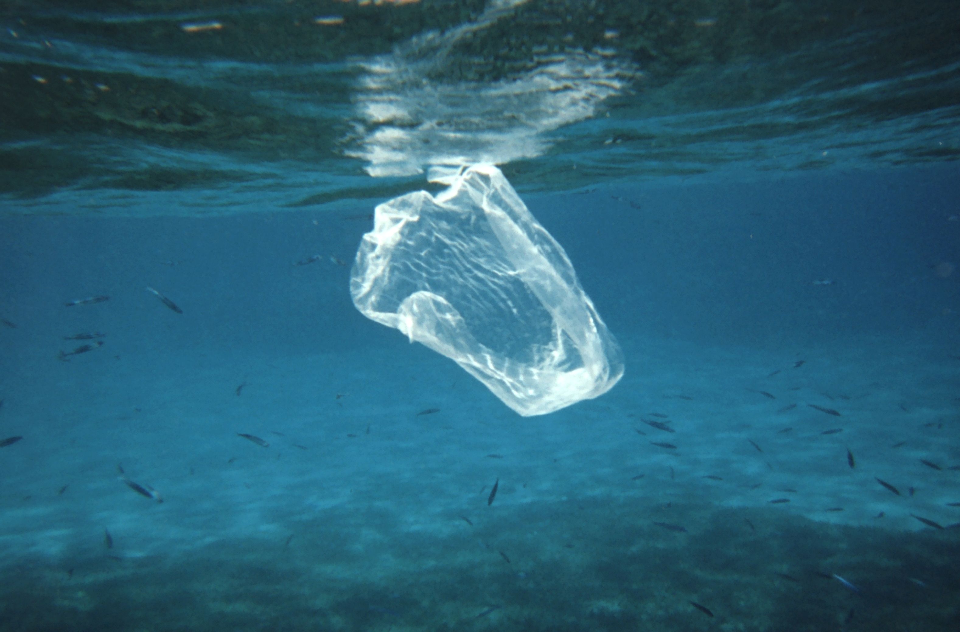 3155x2080 Great Pacific Garbage Patch