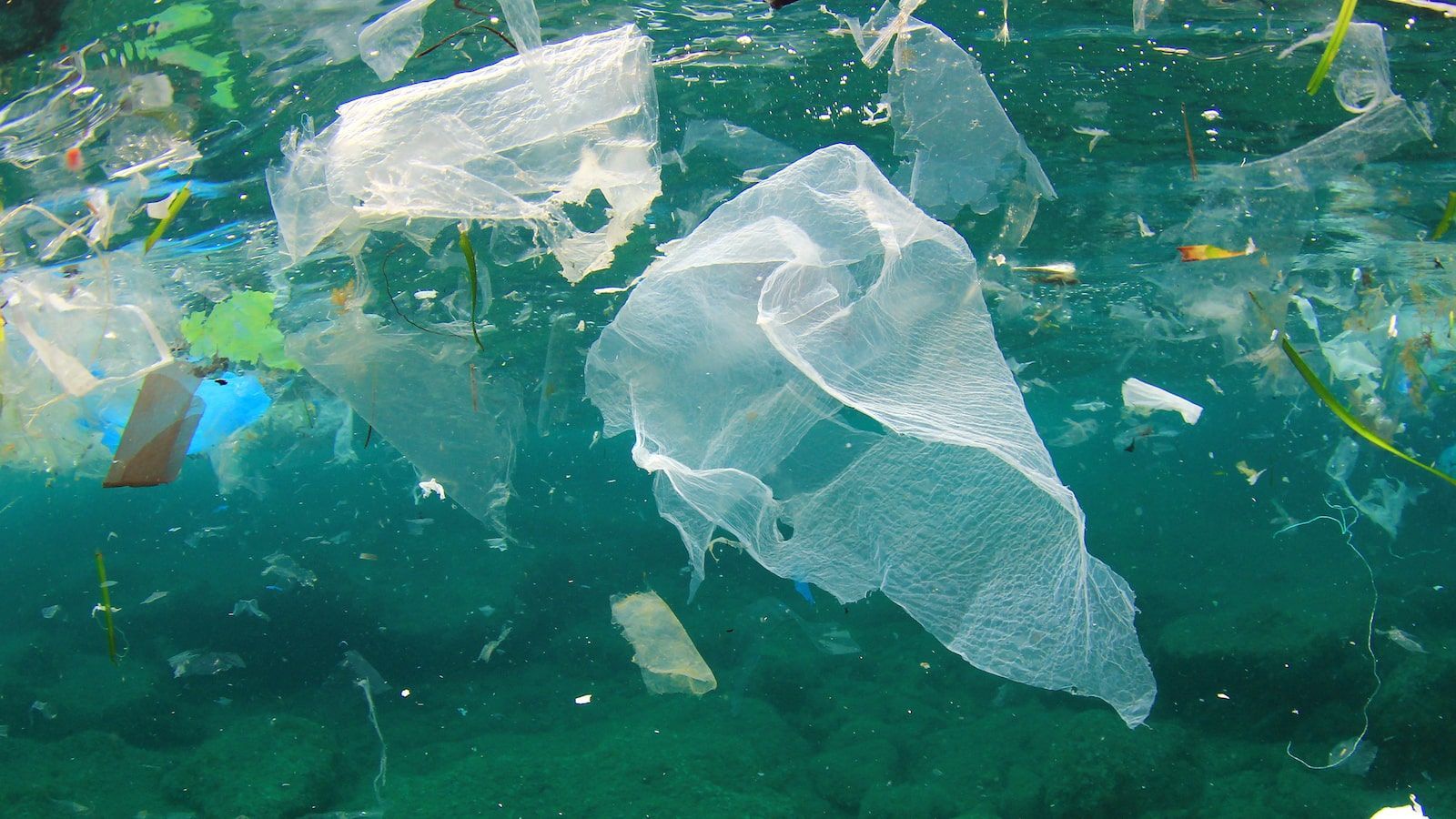 1600x900 ban plastic bags in restaurants and shops