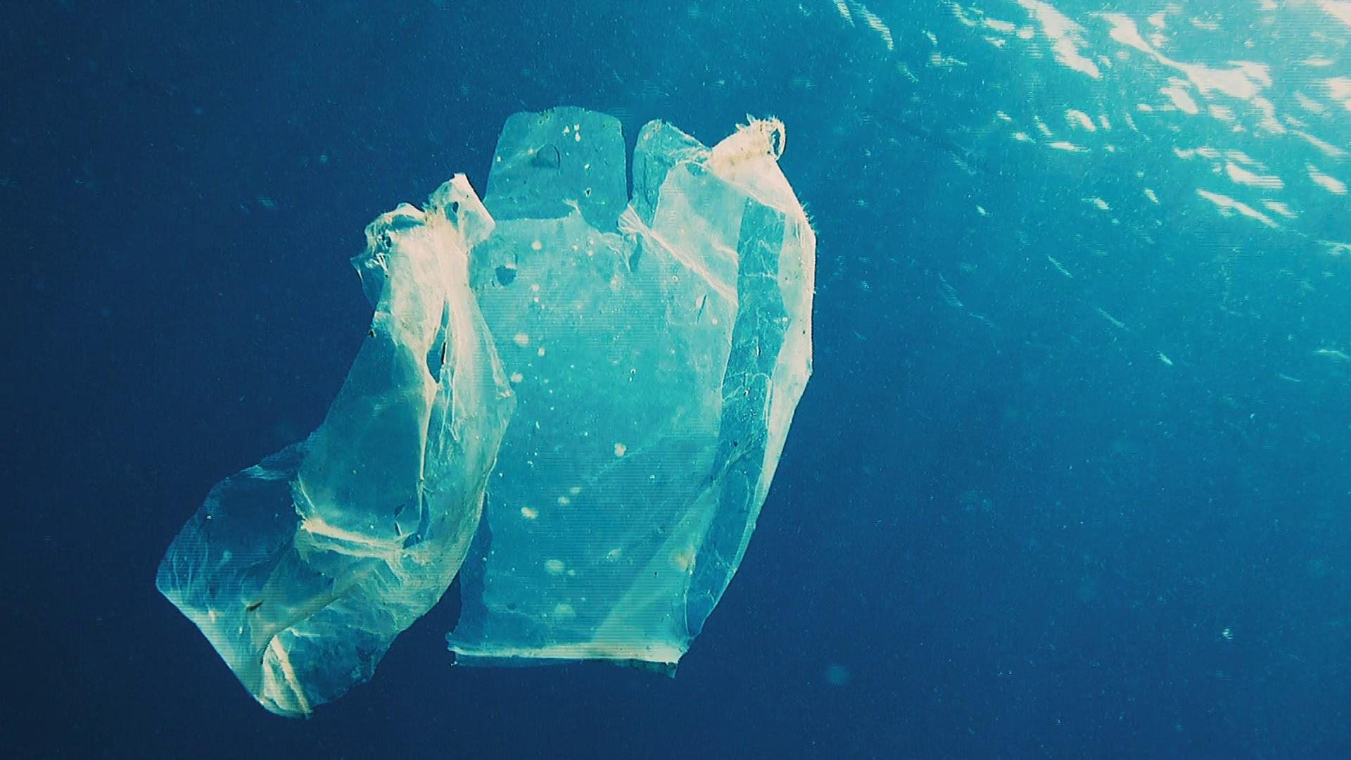 1920x1080 Why paper bags are worse for the planet
