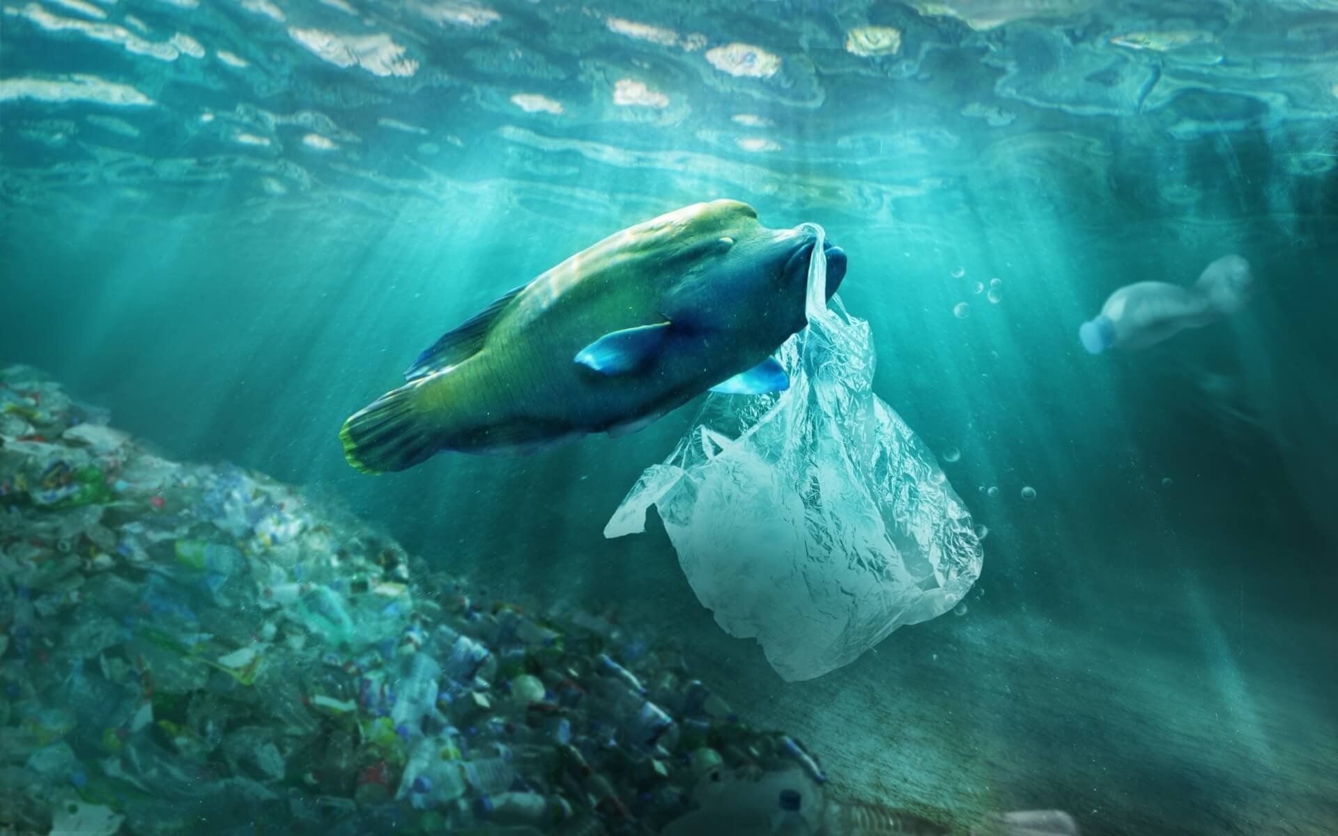 1920x1200 Reusable Produce Bags