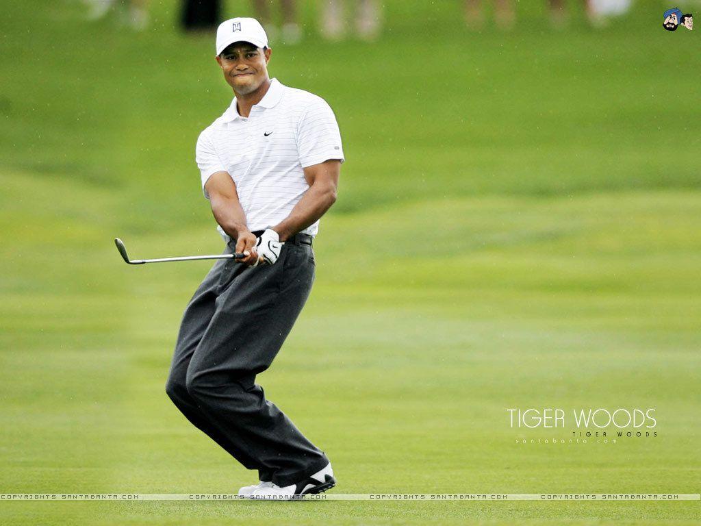 1024x768 Tiger Woods Woods Wallpaper