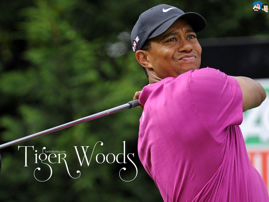 1024x768 Free Download Tiger Woods HD Wallpaper