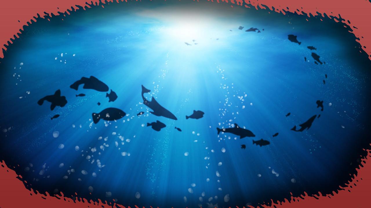 1280x720 Deep Sea Wallpaper for Android