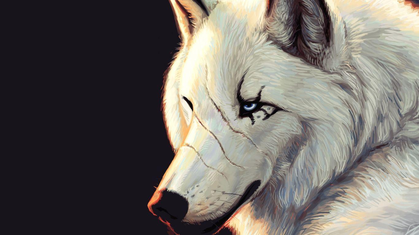 1366x768 Wolf Wallpaper HD Gallery (79 Plus) PIC WPW5011784