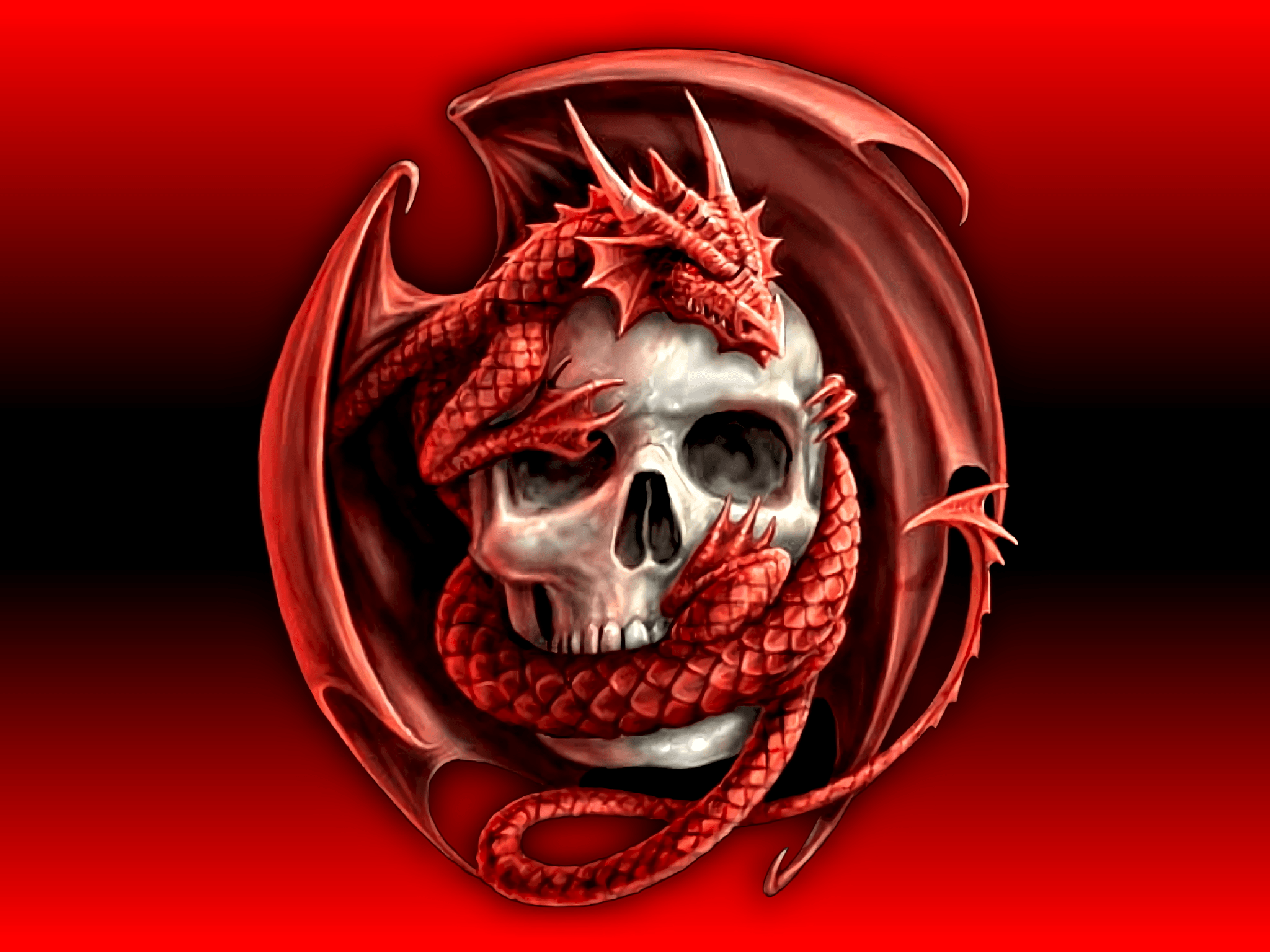 Skull Wallpapers Top Free Skull Backgrounds WallpaperAccess Skull Wallpapers Top Free Skull Backgrounds WallpaperAccess