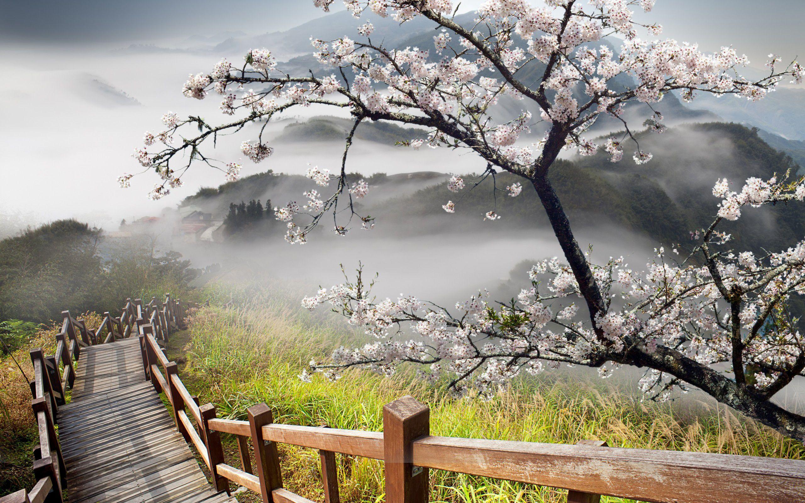 2560x1600 Stunning Stairs wallpaperx1600