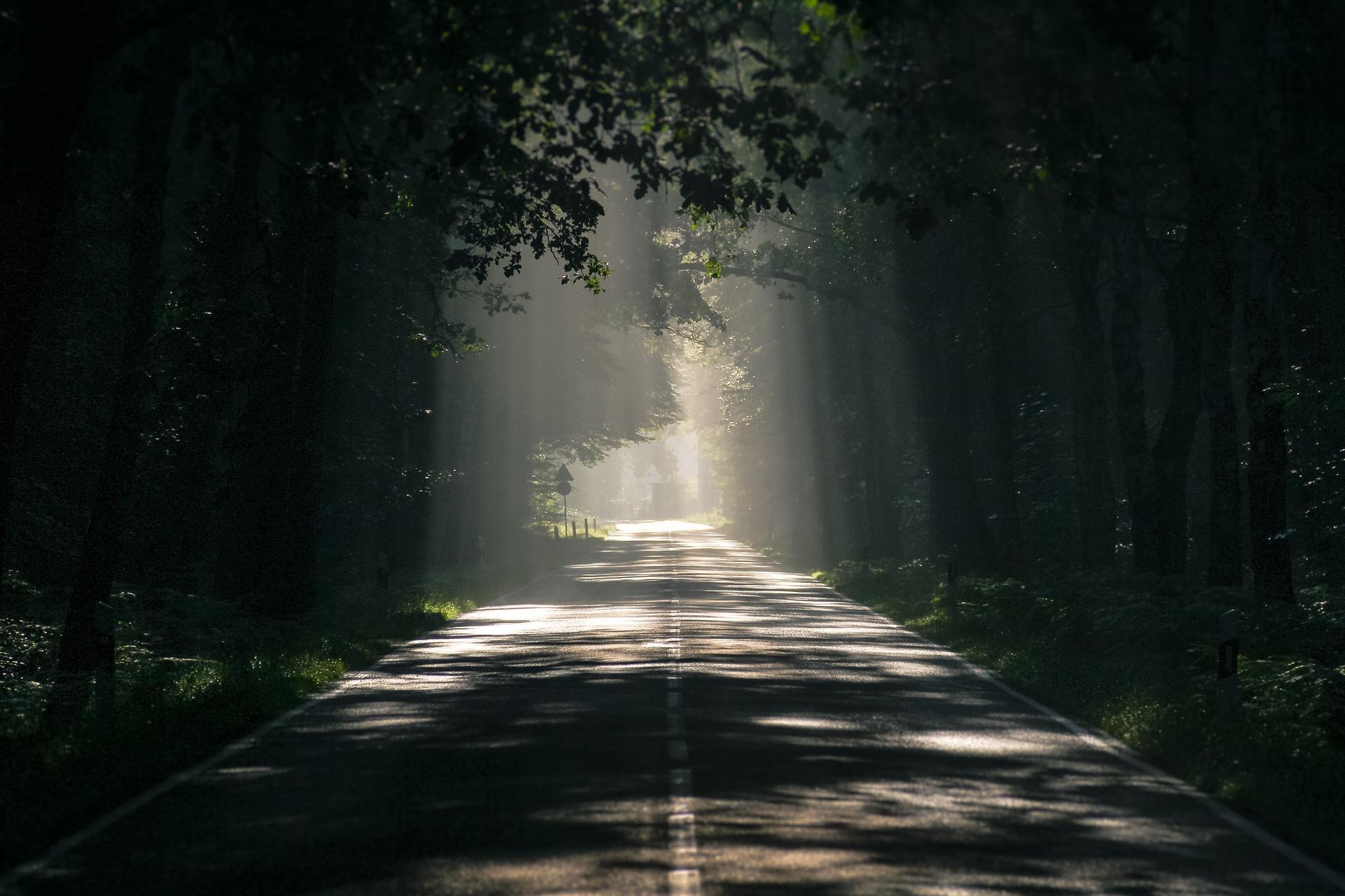 1920x1279 Beautiful Road Wallpaper HD for Android