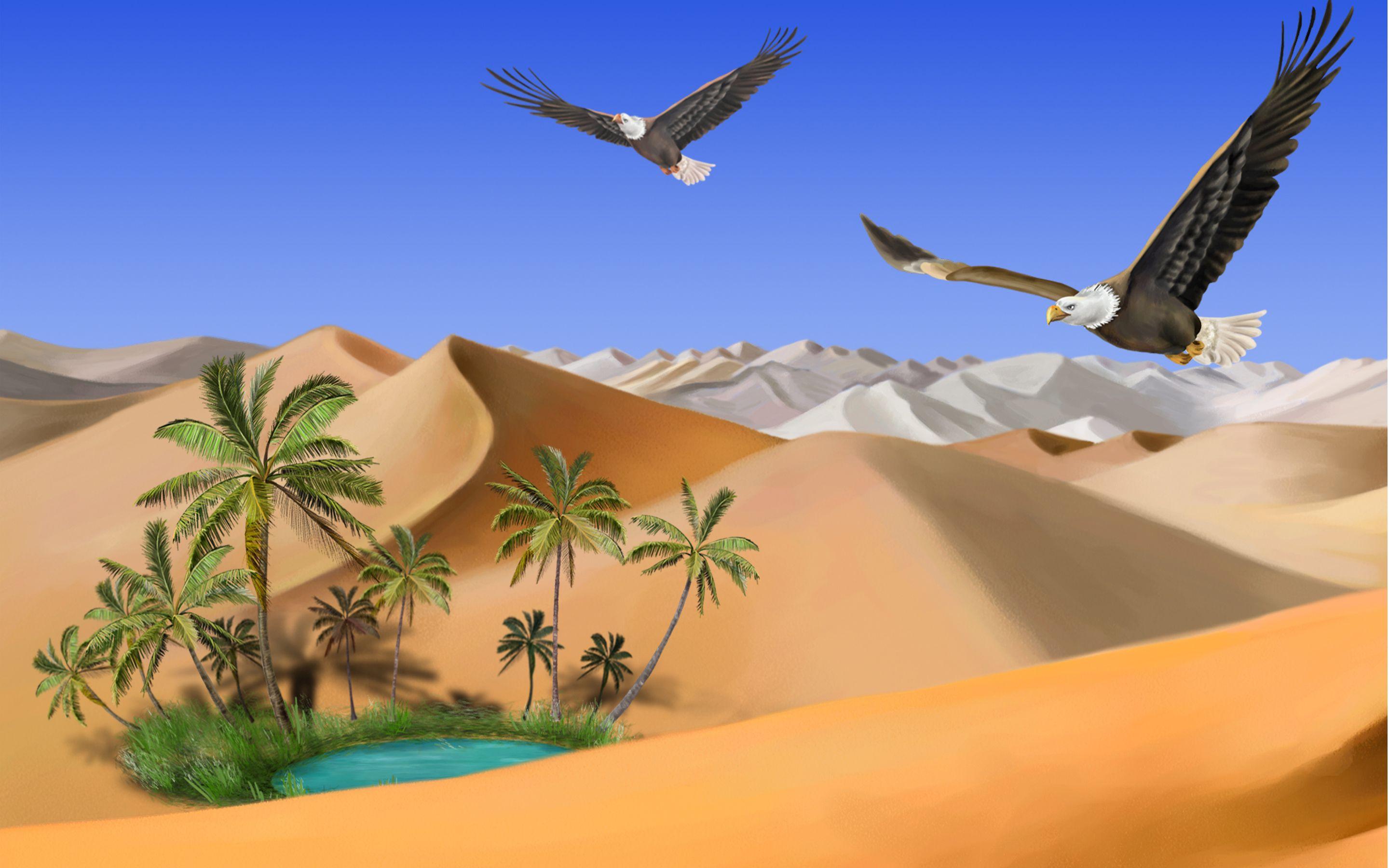 2880x1800 HD wallpaper desert picture cartoon