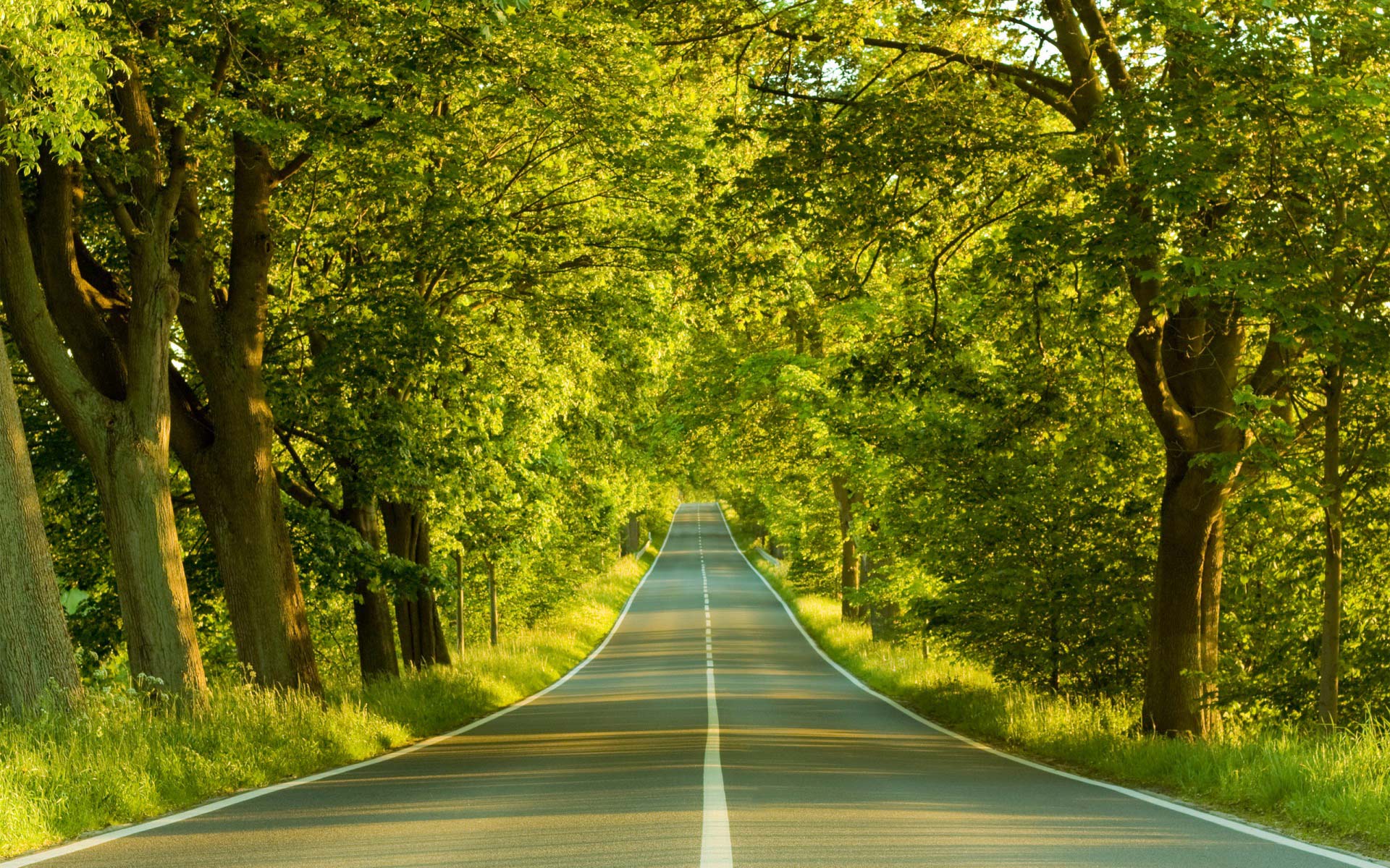 1920x1200 Beautiful Road Wallpaper