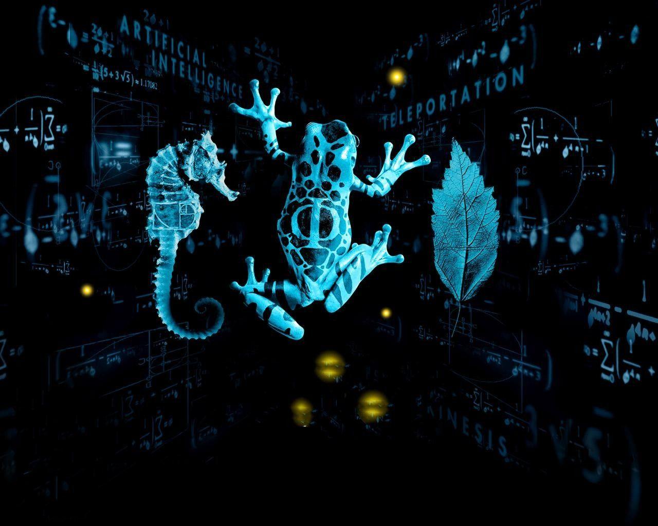 1280x1024 leaves fringe frogs mathematics seahorses 1280x1024 wallpaper High