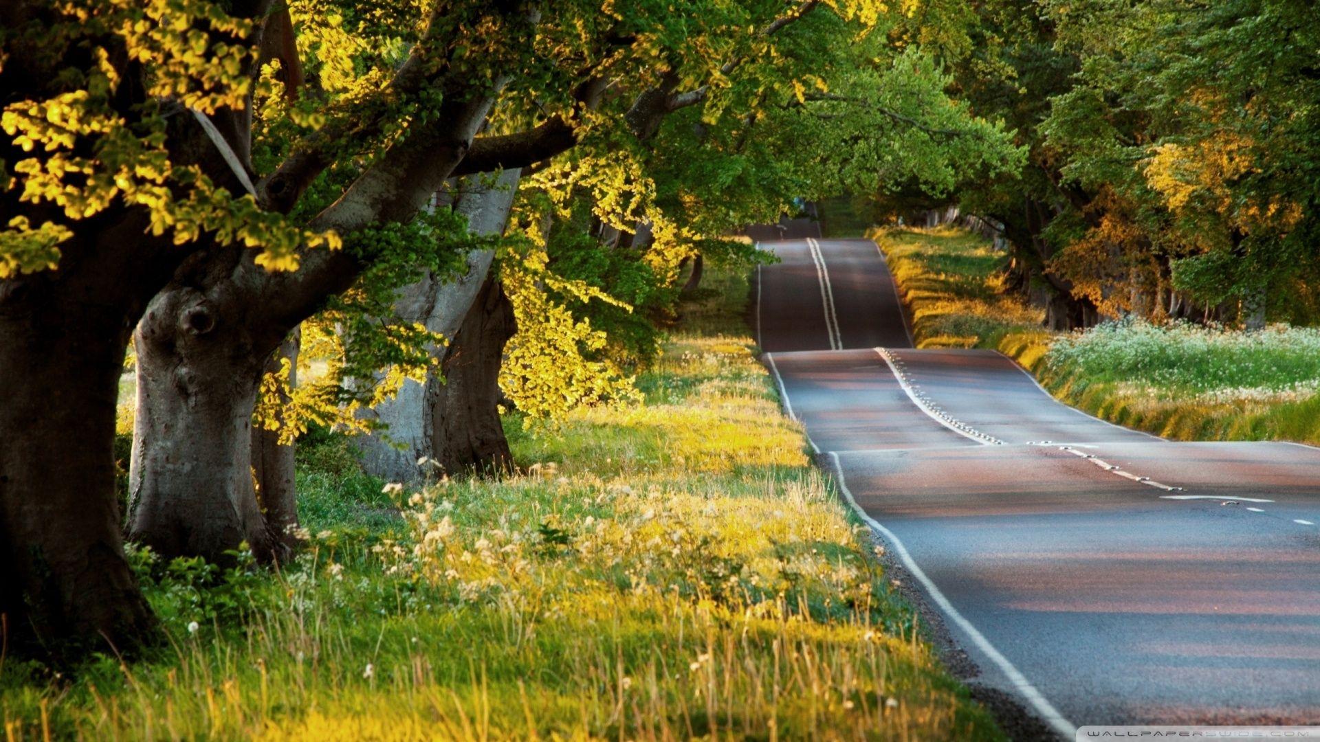 1920x1080 Beautiful Road ❤ 4K HD Desktop Wallpaper for 4K Ultra HD TV