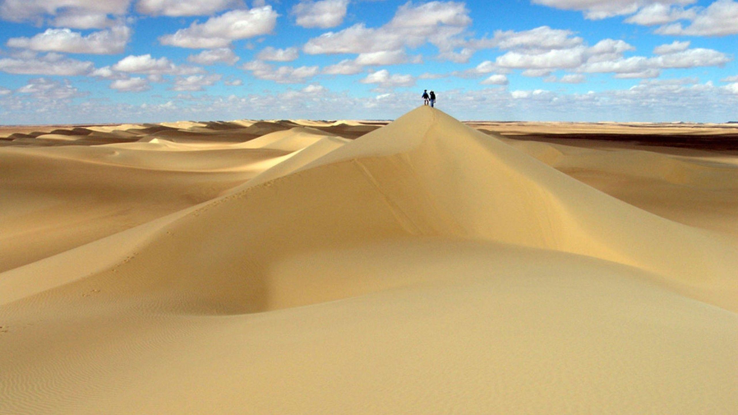 2560x1440 Savannah Desert Wallpaper