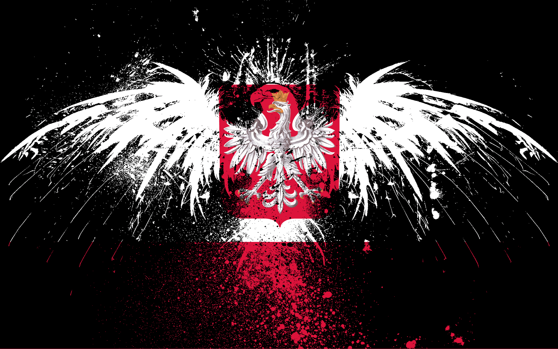 Polish Flag Images  Free Photos PNG Stickers Wallpapers  Backgrounds   rawpixel