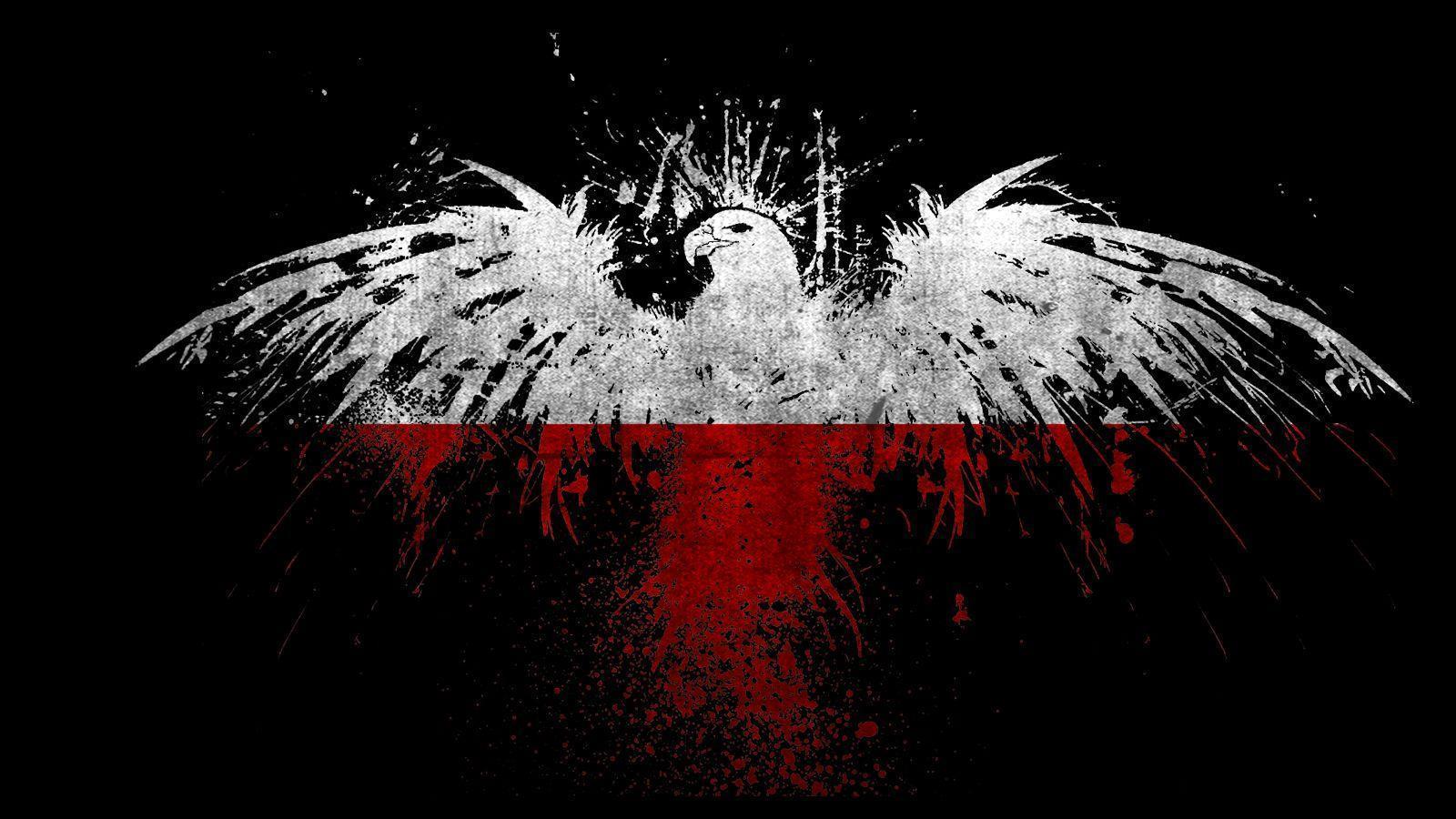 Polish Wallpapers - Top Free Polish Backgrounds - WallpaperAccess