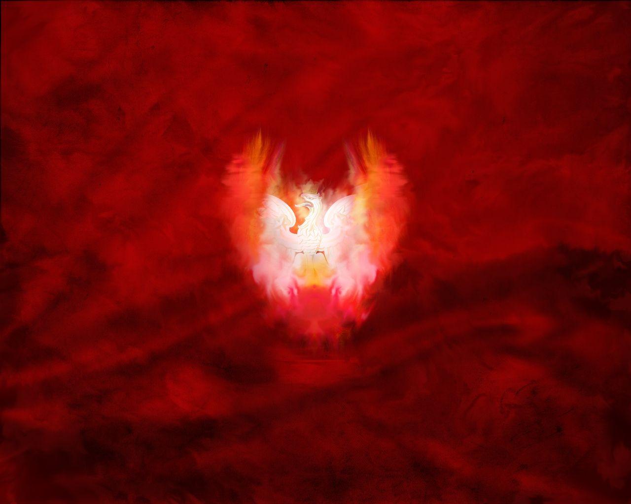 1280x1024 eagles poland orze polski orze polish eagle High Quality
