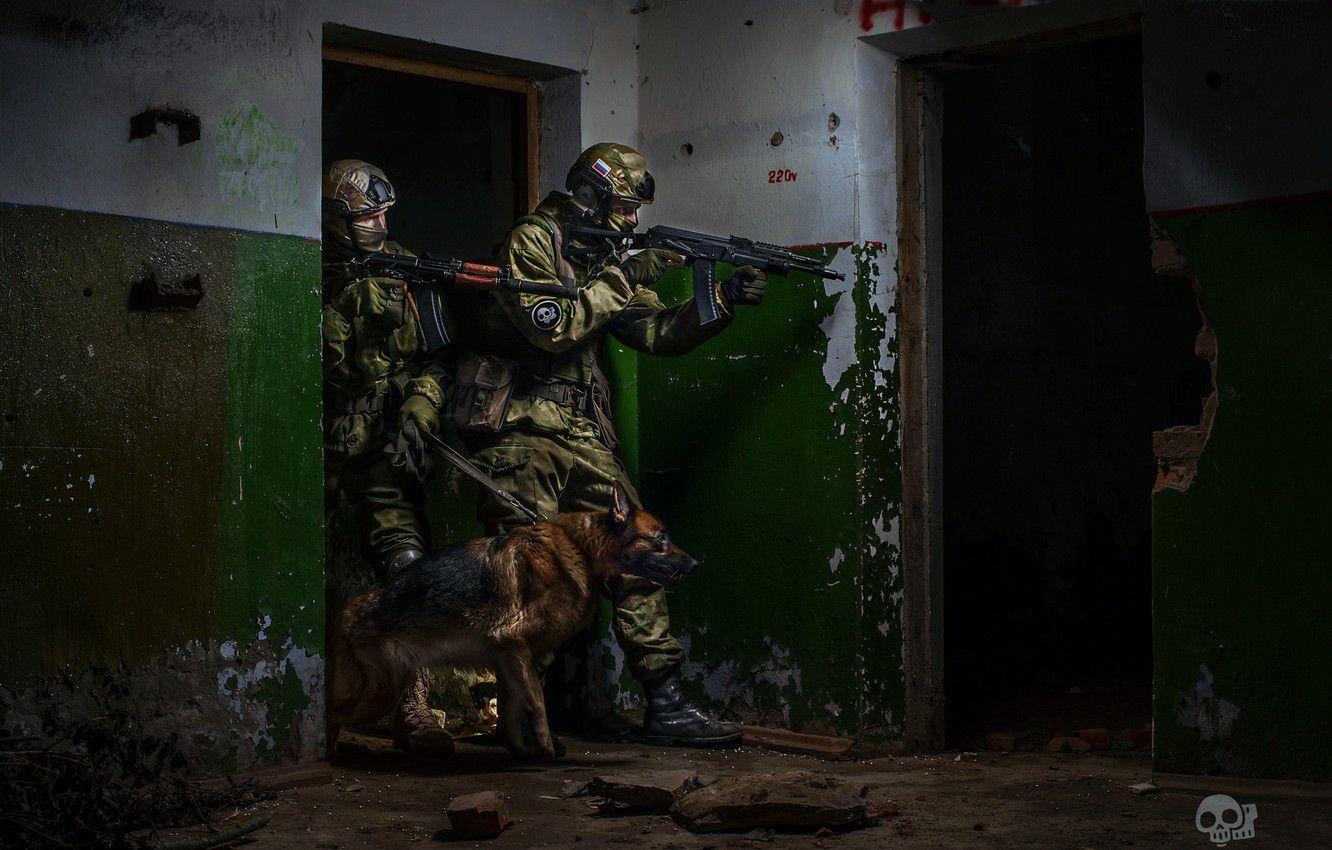 1332x850 Wallpaper dog, soldiers, special forces image for desktop