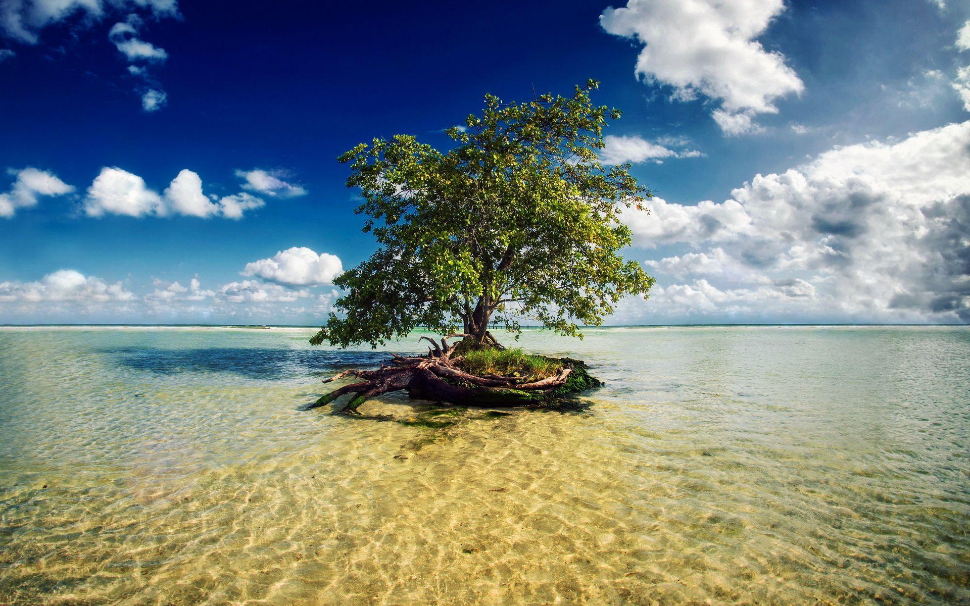 1920x1200 Riviera Maya Wallpaper