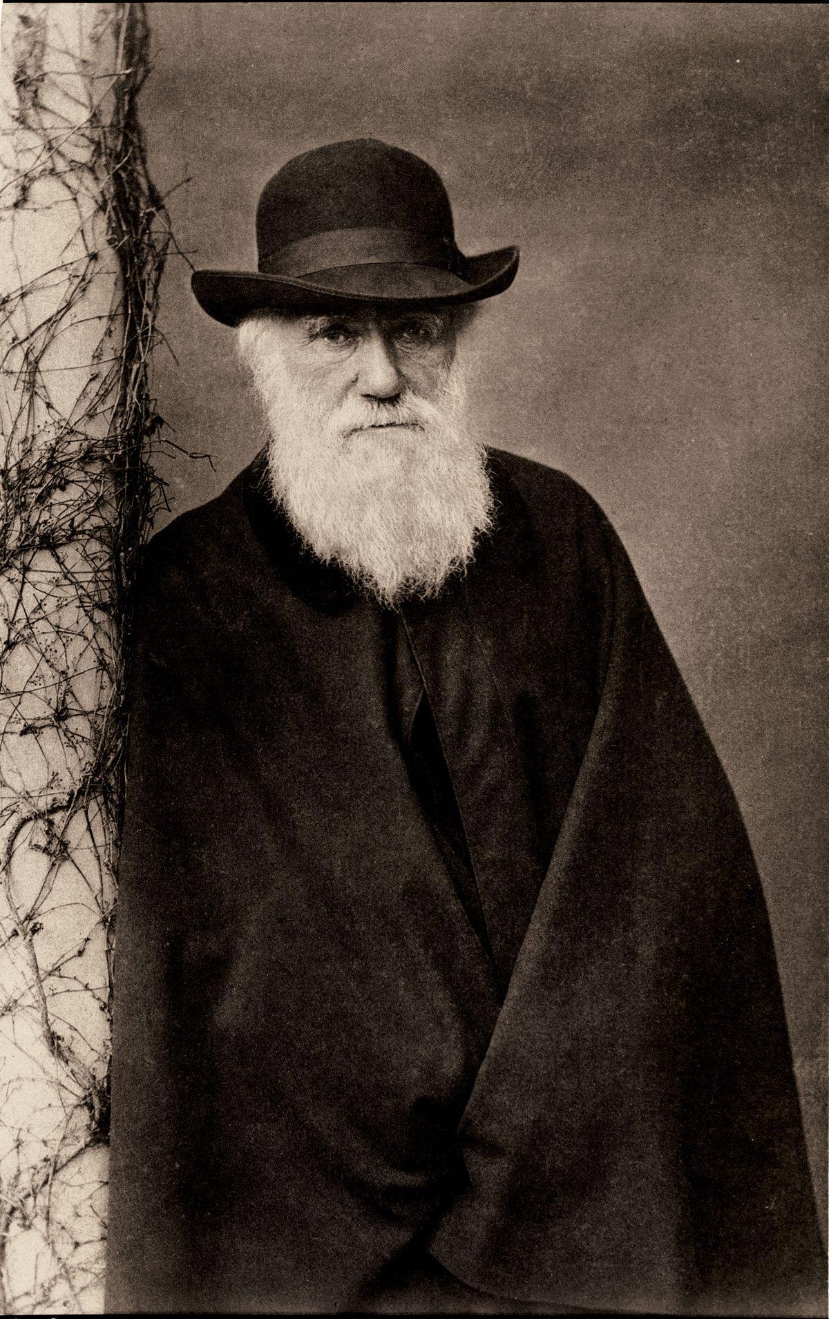 1200x1910 Charles Darwin Wallpaper