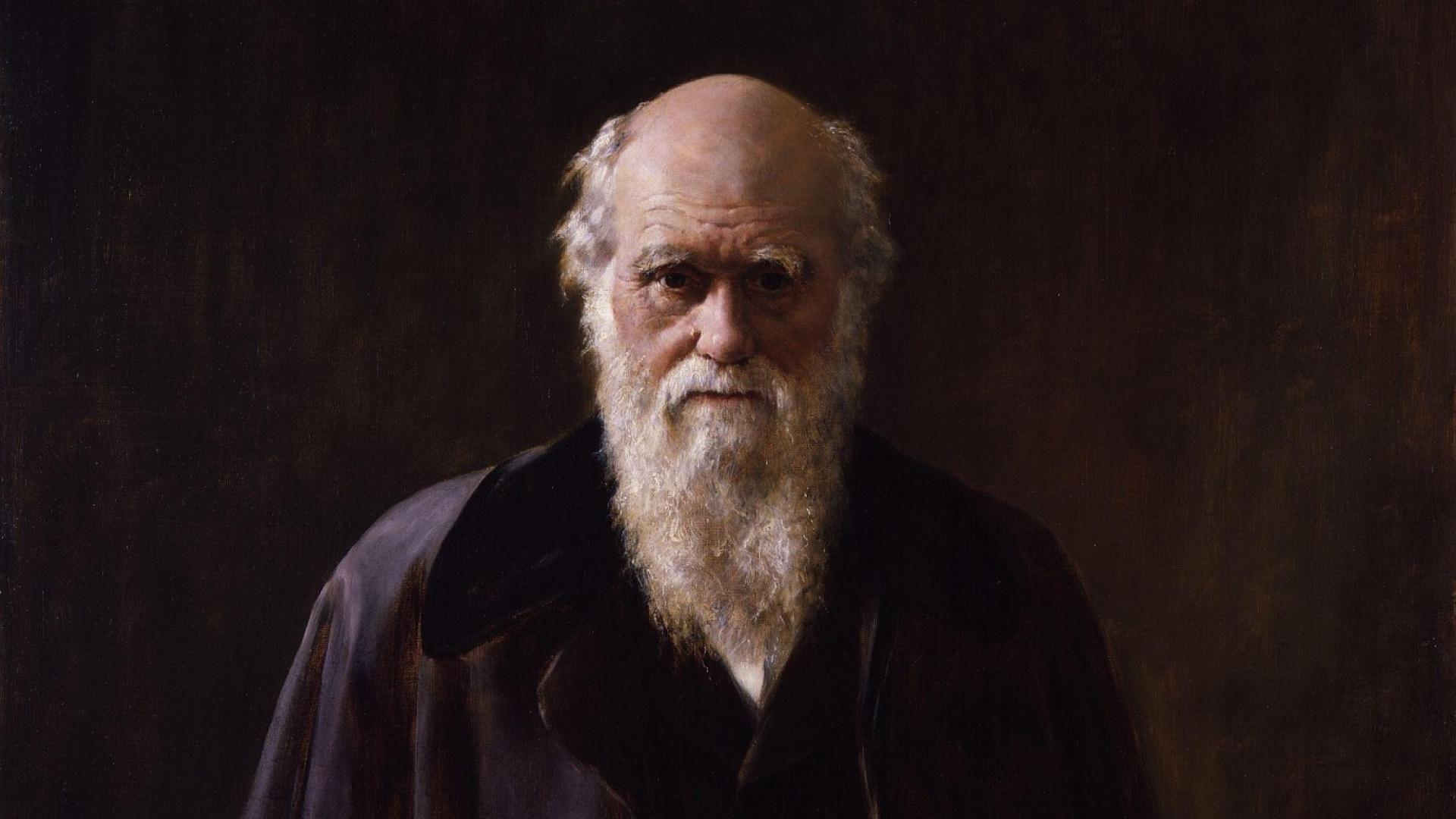 Charles Darwin Wallpapers - Top Free Charles Darwin Backgrounds