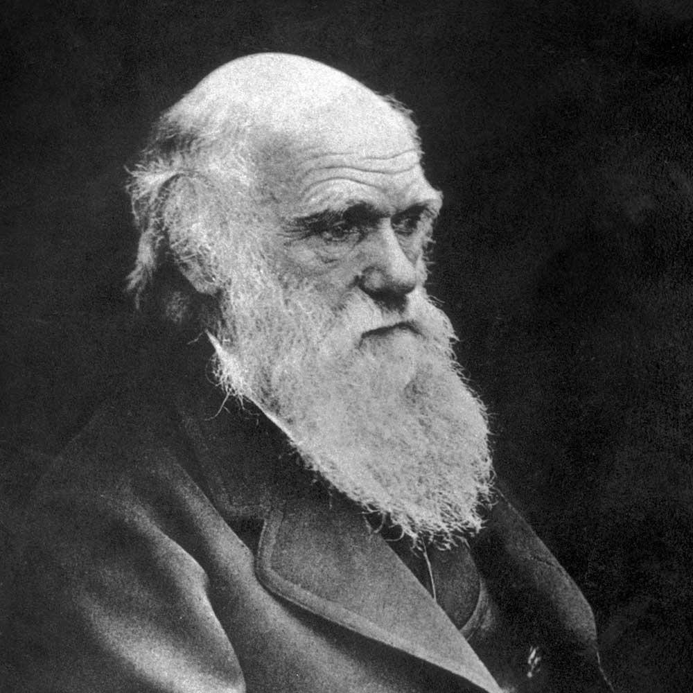 1000x1000 Charles Darwin Wallpaper