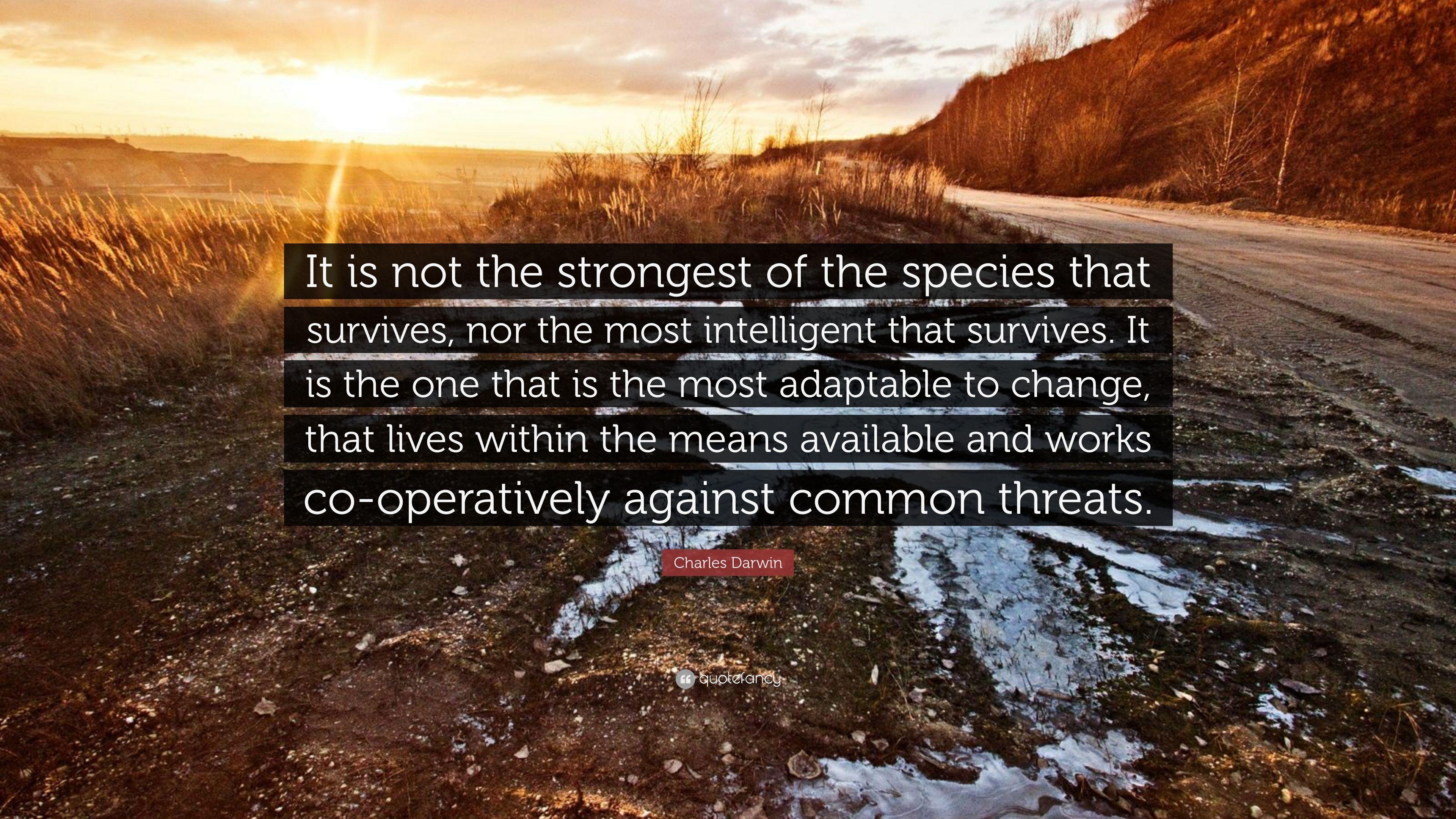 3840x2160 Charles Darwin Quote: “It is not the strongest