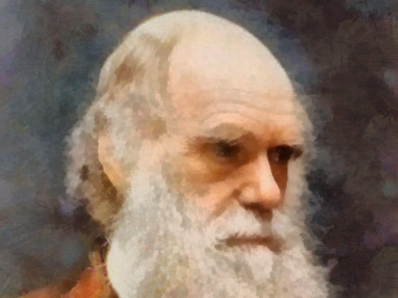 1600x1200 Photo Men Charles Darwin Beard Celebrities Painting Art