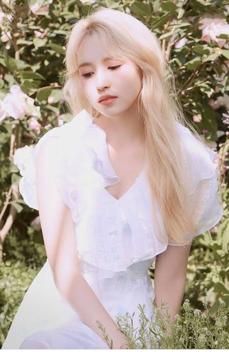800x1228 Mina Twice, K Pop, HD Phone Wallpaper