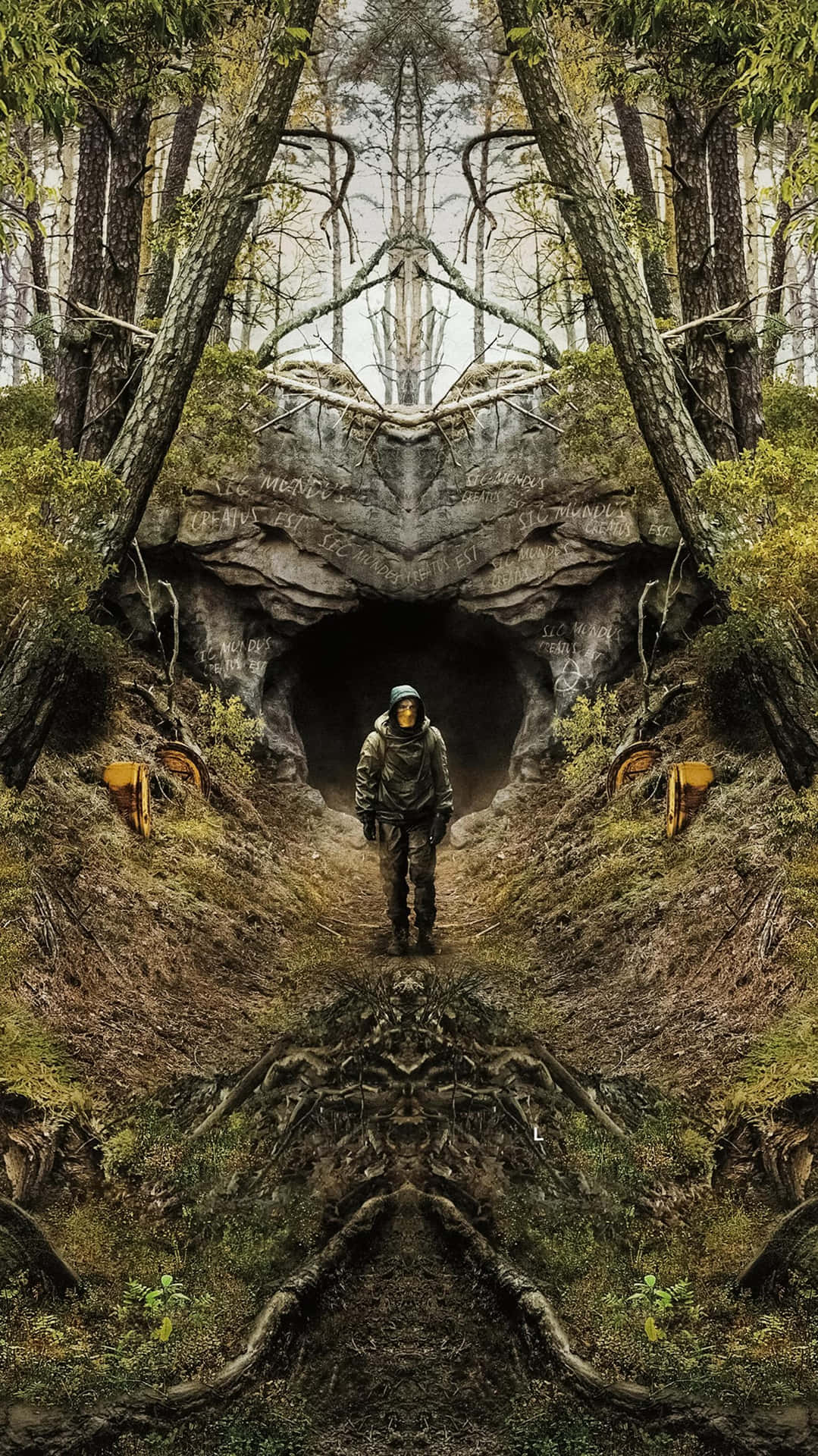 1079x1920 Forest With Trees Wallpaper