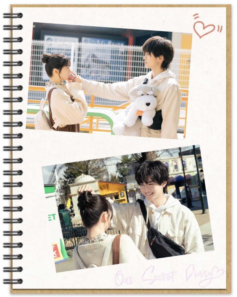 828x1035 Secret Diary Photo