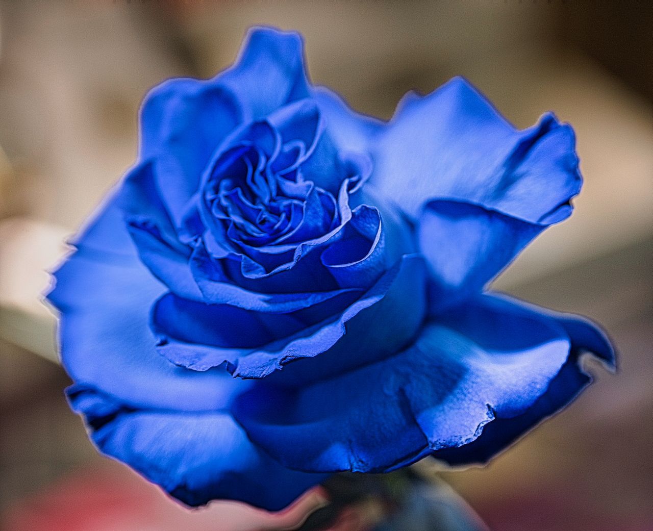 1280x1041 Our Secret Garden florist opening new