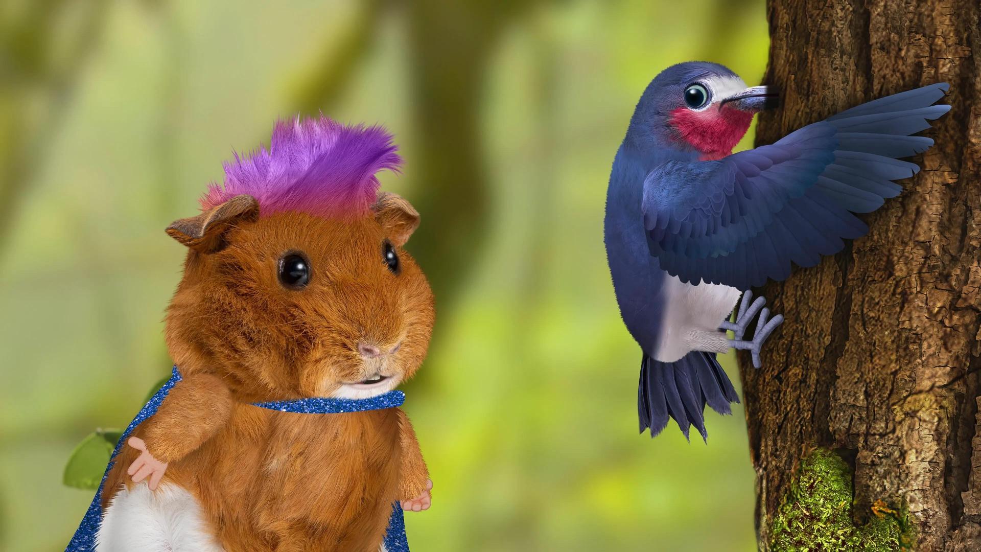 1920x1080 Wonder Pets: In
