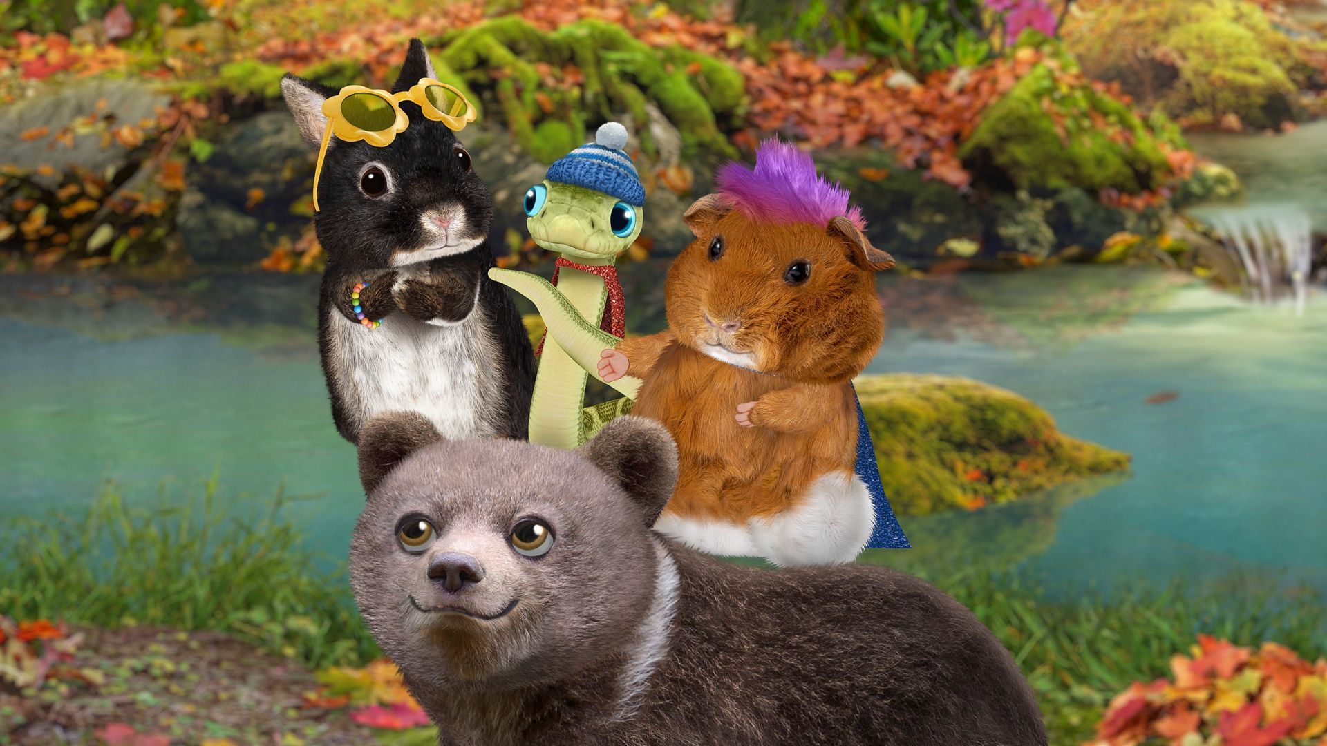 1920x1080 Prime Video: Wonder Pets: In the City