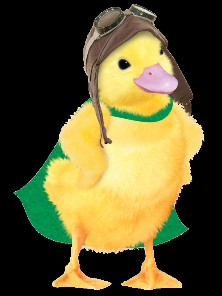 770x1027 Wonder Pets Ming Ming Wallpaper