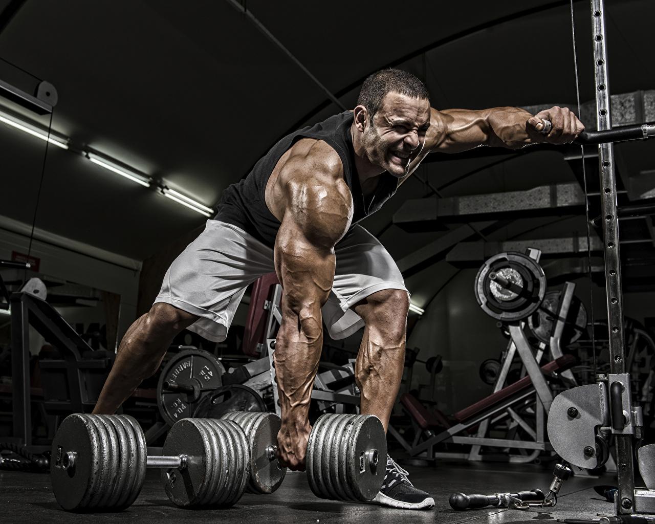 1280x1024 Man Fitness Wallpaper