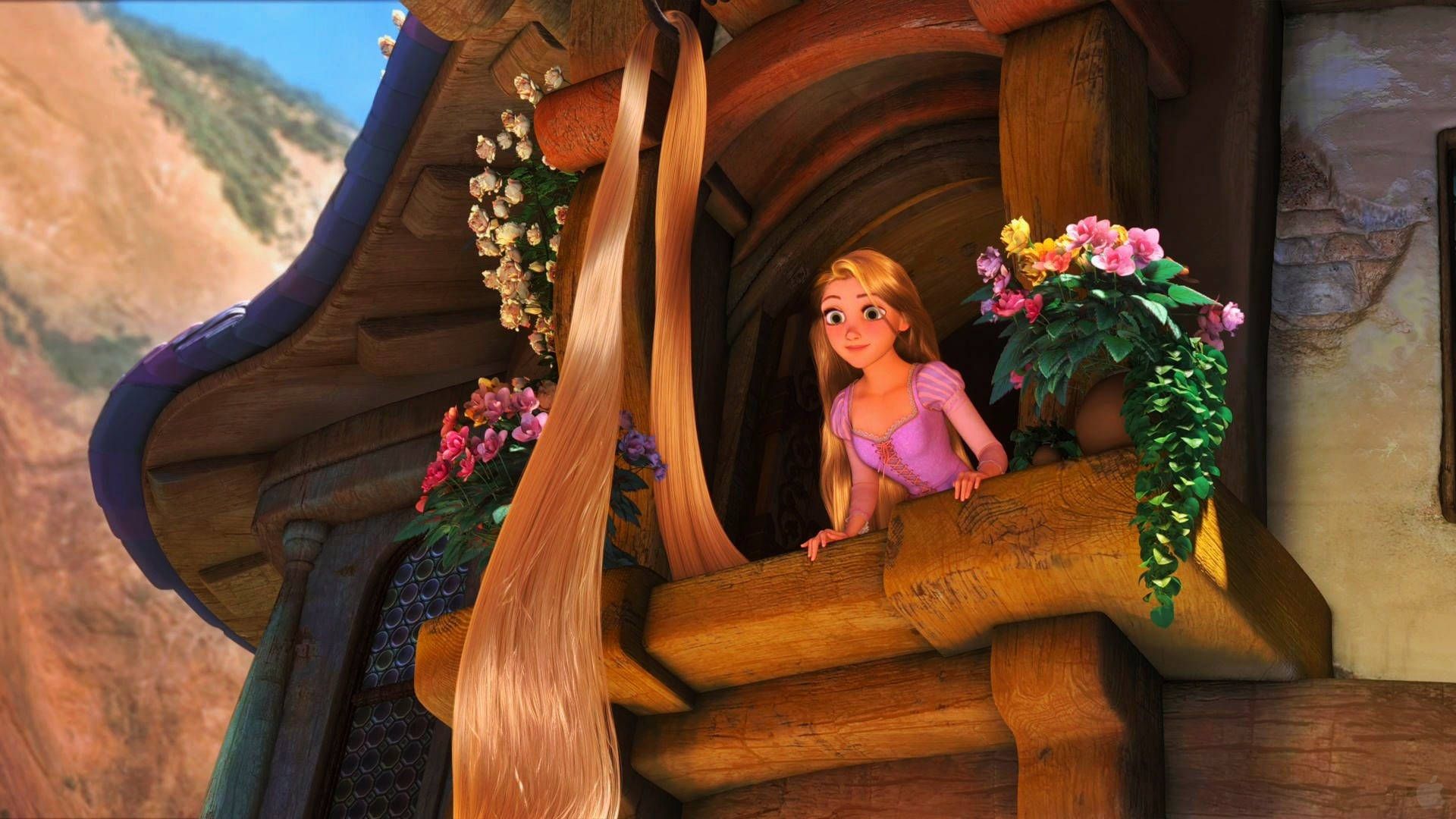 1920x1080 Rapunzel Patiently Awaits Her Rescue At