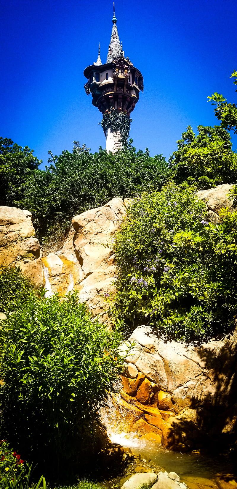 800x1646 rapunzel, samsung, HD phone wallpaper