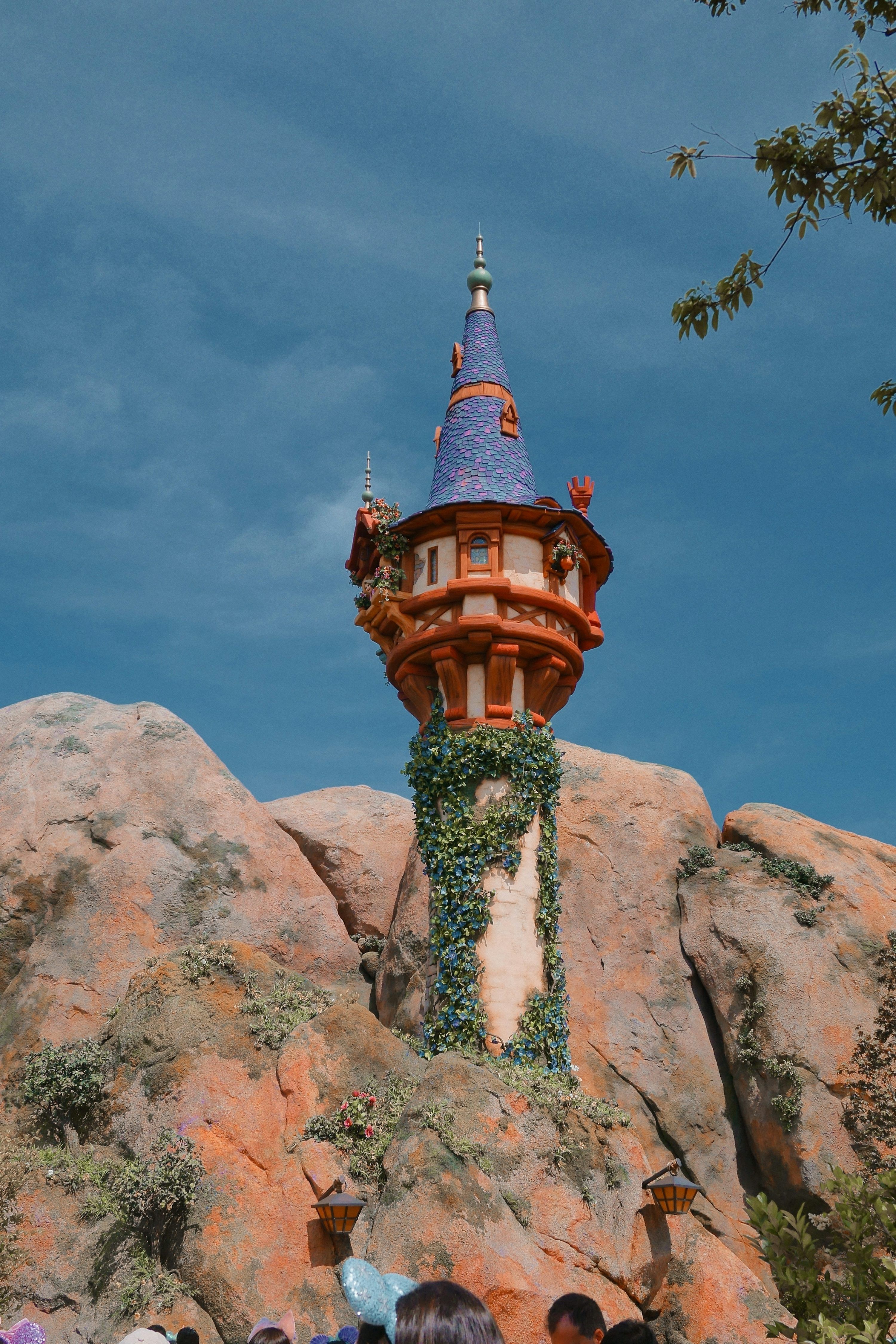 3000x4496 Rapunzel Picture. Download Free