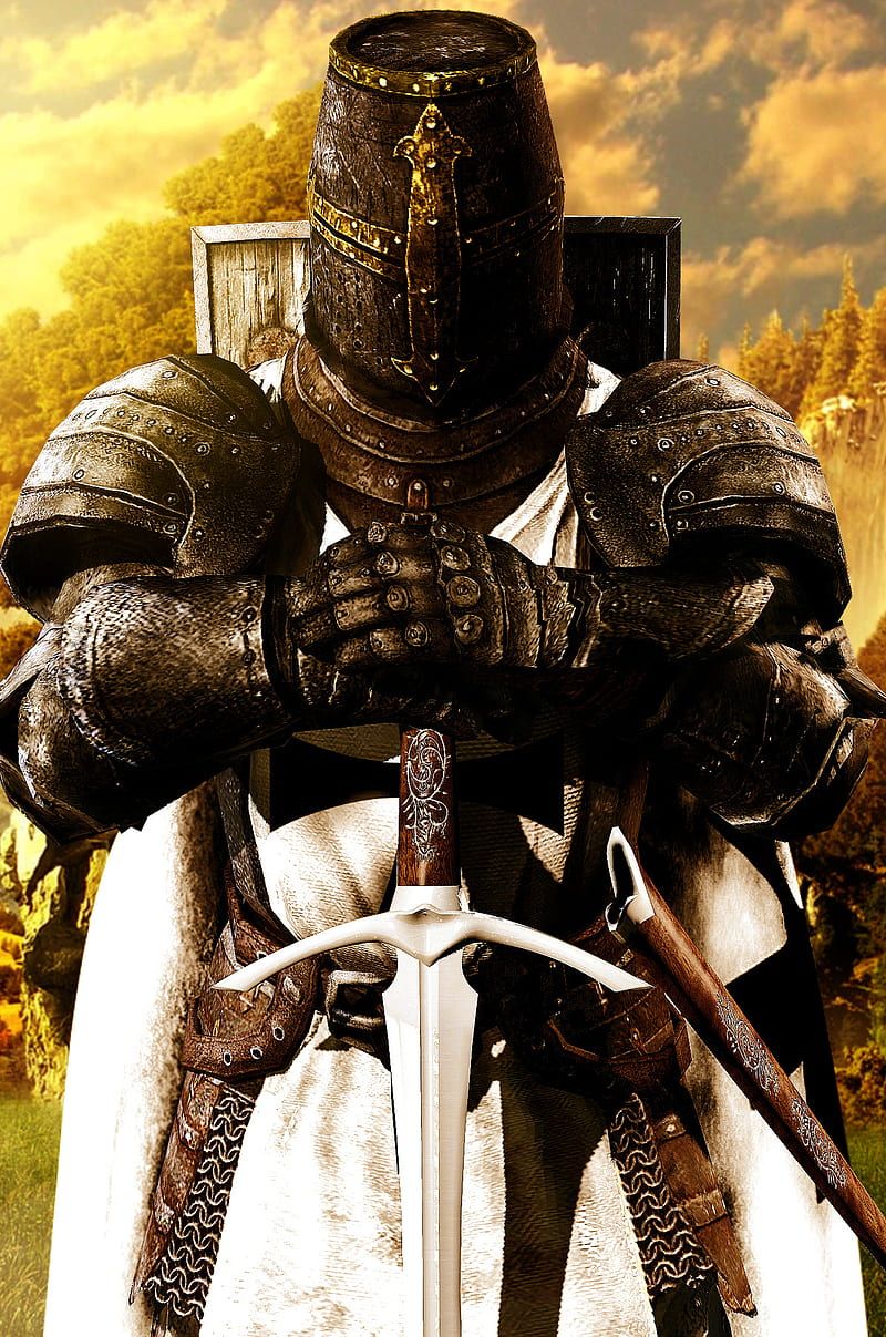800x1207 Templar Knight, templar, warrior, HD