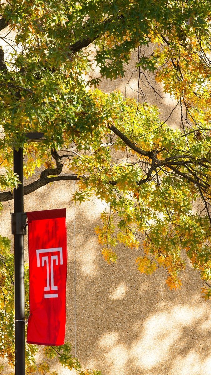 676x1200 Temple University Wallpaper. Temple
