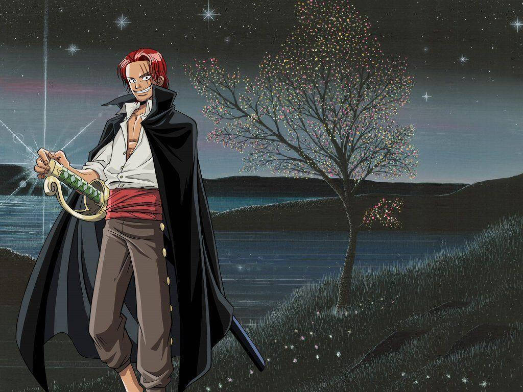 1024x768 Tree Shanks One Piece Wallpaper