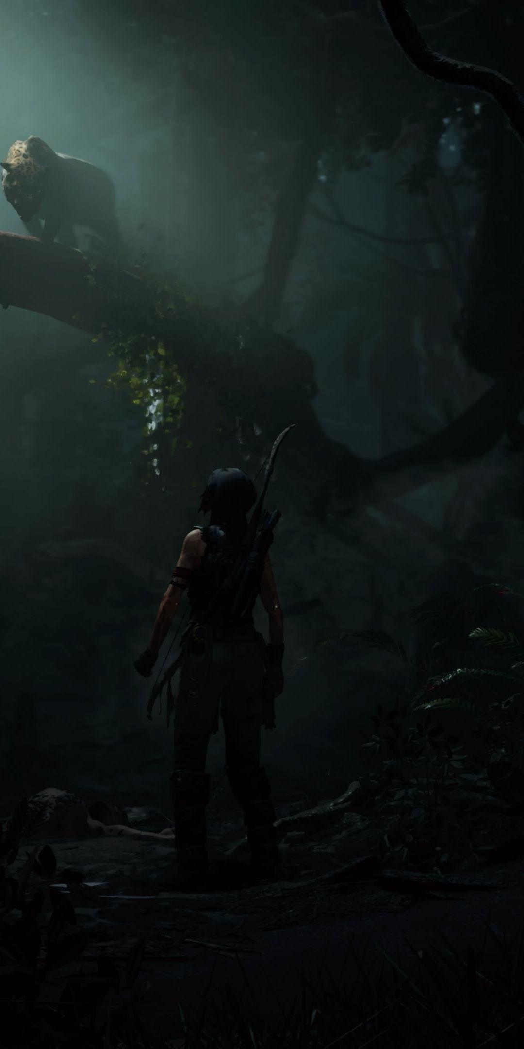 1080x2160 Tomb Raider, outdoor, dark, 1080x2160 wallpaper. Tomb